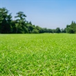 Substain-N® Triazone Nitrogen: A TradeMark Nitrogen Slow-Release Liquid Fertilizer for Superior Turf Performance