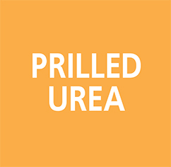 Urea Prilled